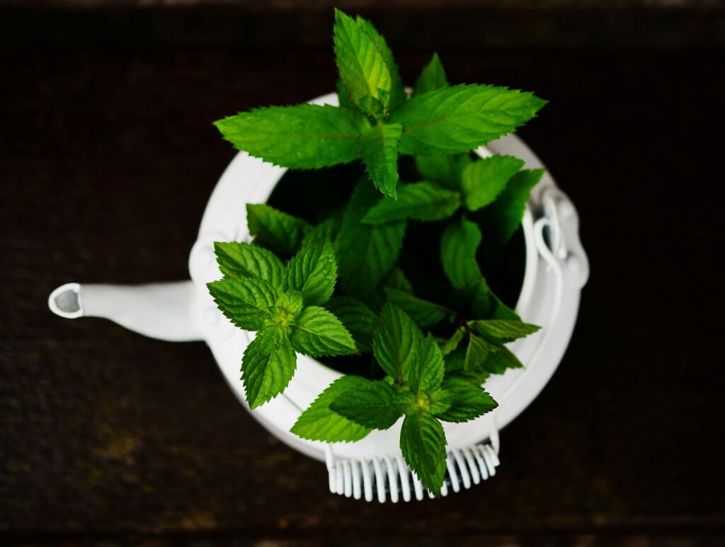 peppermint-tea-benefits