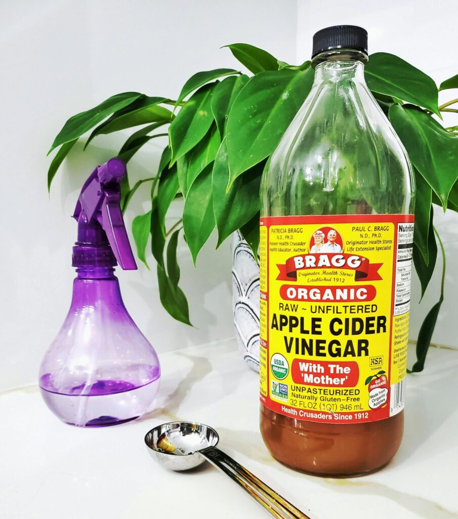 apple cider vinegar for digestion